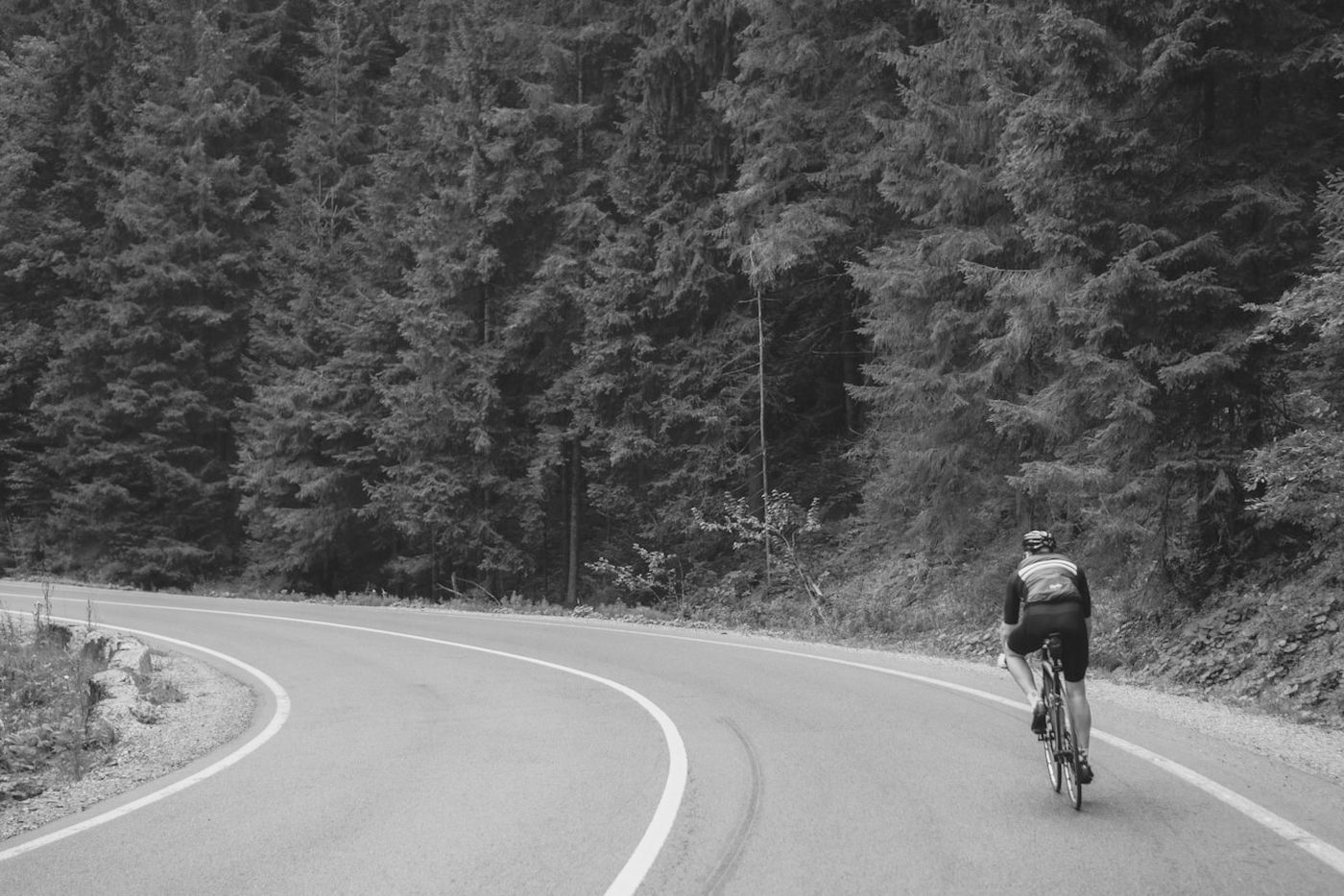 A rider on an empty forest road